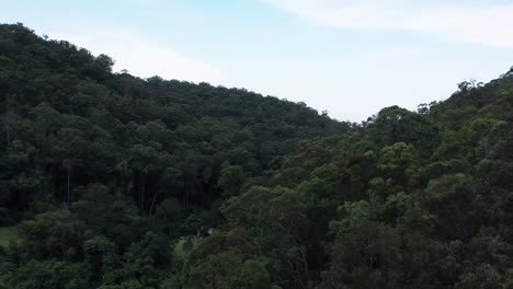 Toma-Aérea-De-Drones-Que-Se-Levanta-Del-Bosque-Y-Vuela-Sobre-Un-Bosque-Verde-De-árboles-Densamente-Poblado