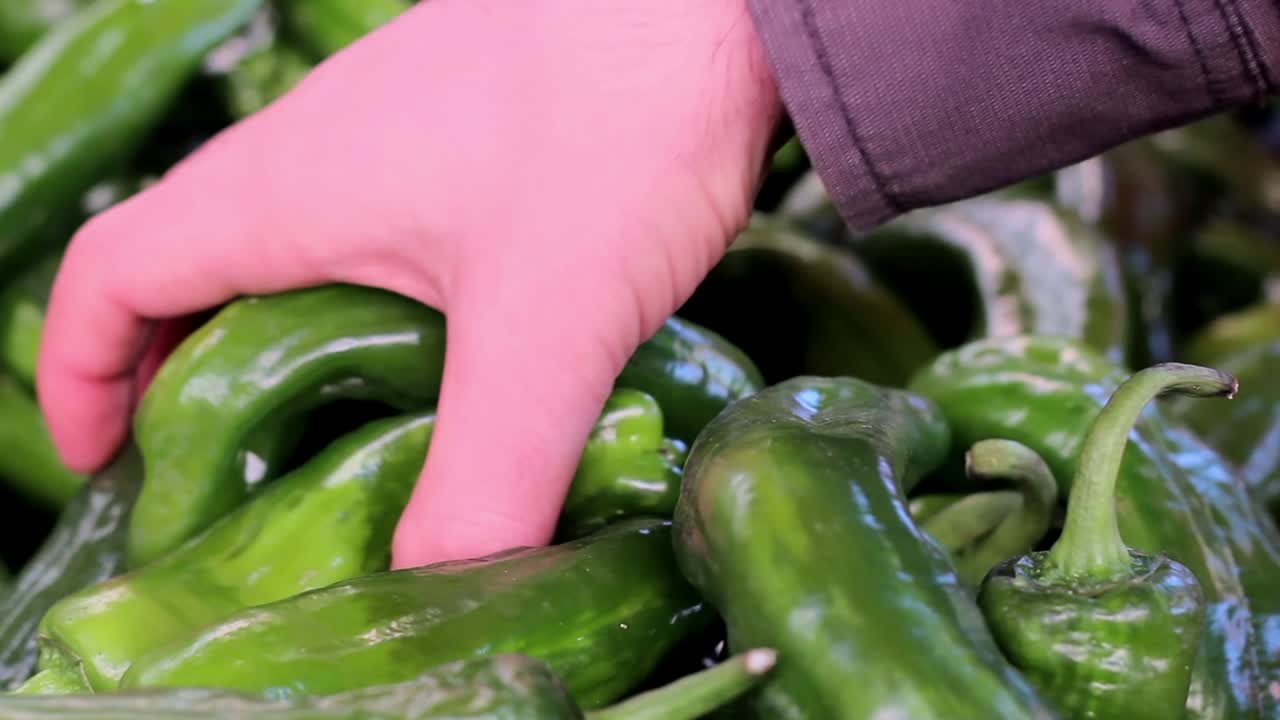 야채 가게 에서 채소 와 과일 을 구입 하는 사람 13