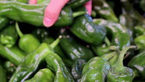 hombre comprando verduras y frutas en la verdulería 13