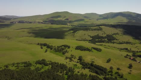 Drohnenaufnahmen-Von-Grünen-Bergfeldern-Mit-Jungen-Und-Kleinen-Kiefernwäldern,-Überführung