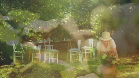 zusammengesetztes video einer pflanze gegen eine kaukasische ältere frau, die einen pflanzentopf im garten trägt