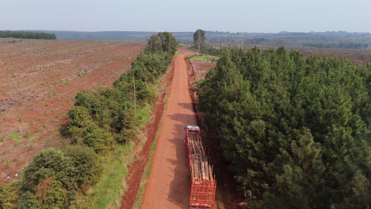 Logging truck transporting felled trees on dirt road through exploited forest land