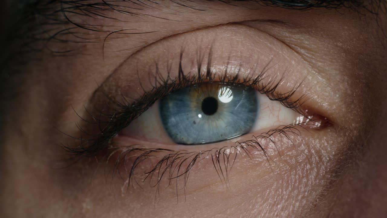 cerca de la belleza macro apertura del ojo con un hermoso iris azul