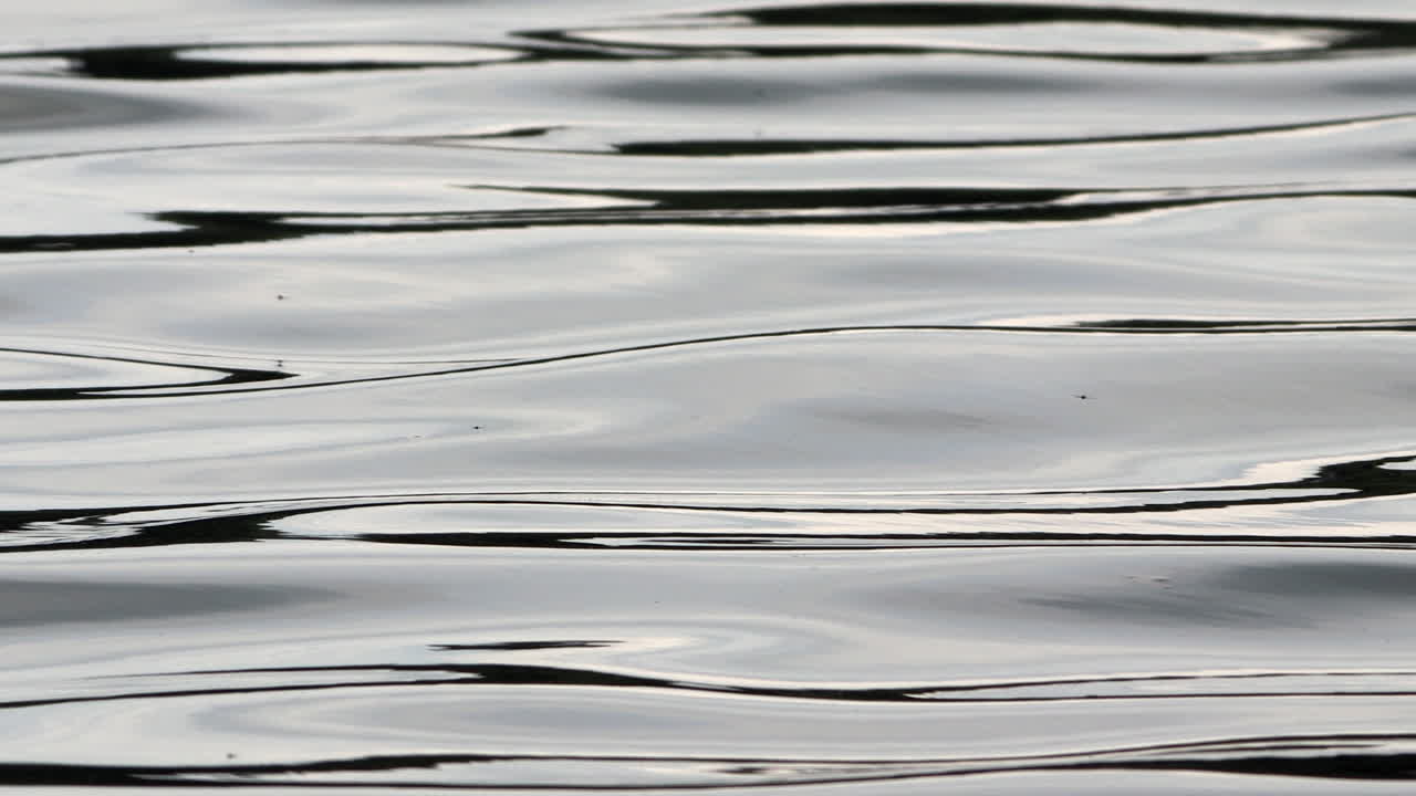 Water in a lake rippling and moving in the wind