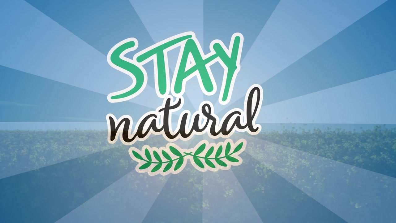 Animation of multicolored stay natural text over canola flowers field against clear sky