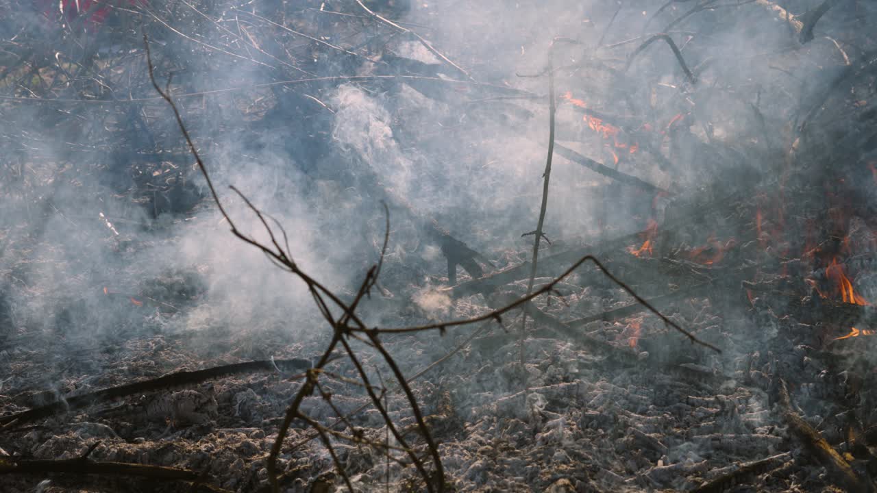 Slow Motion Hot Burning Ground with Thick Smoke Rising from Charred Wood Remains and Small Flames