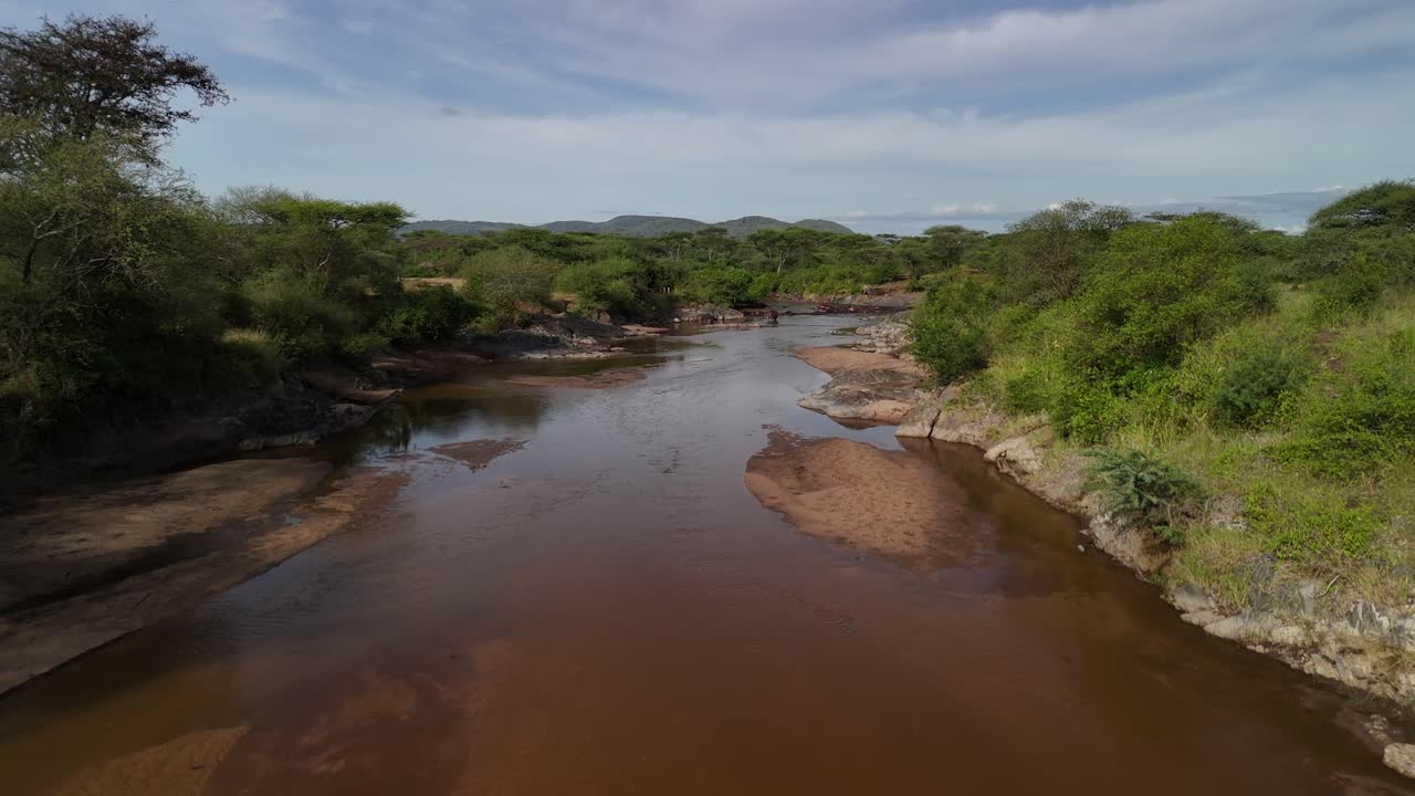 Aerial view of a river in the Serengeti National Park in Tanzania during daytime with a lot of Hippos swimming