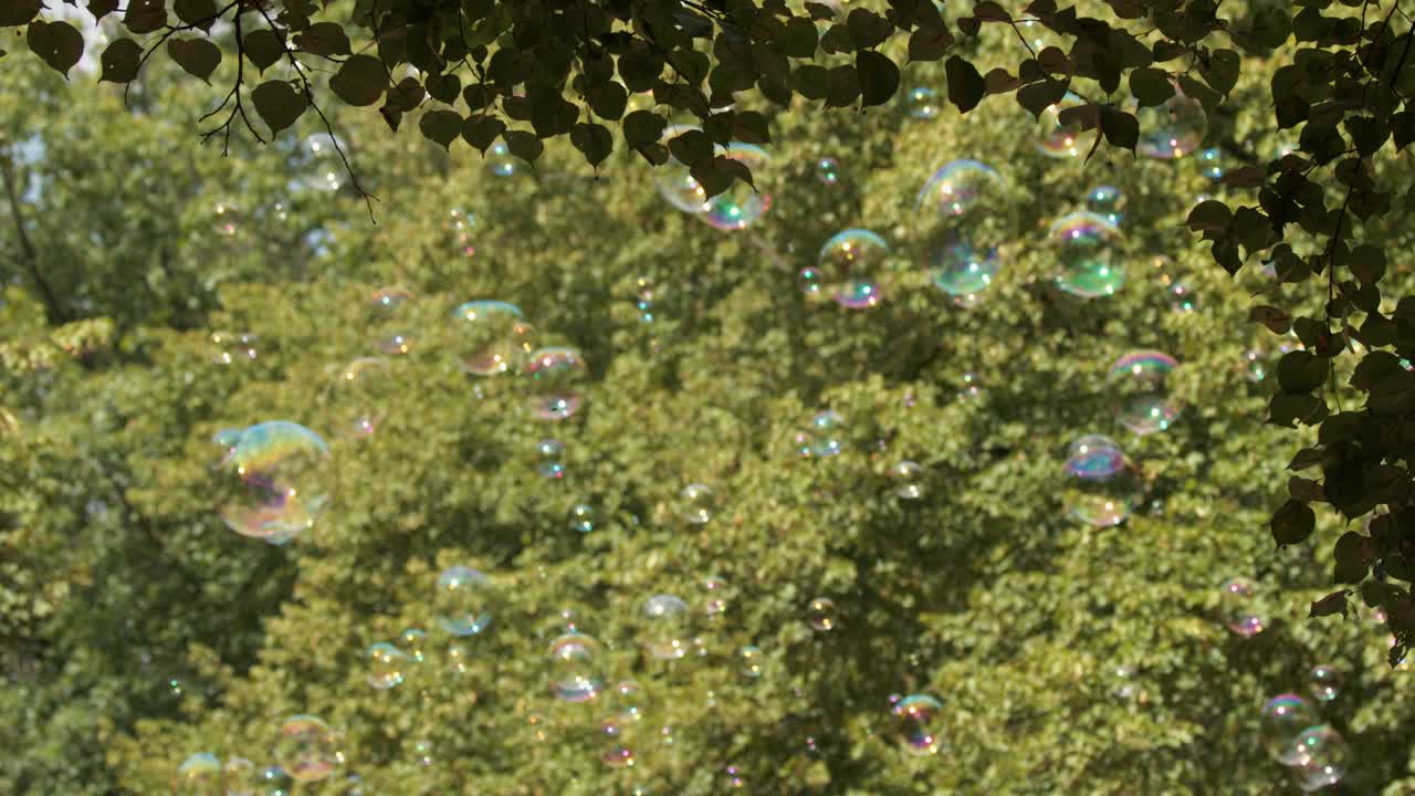 Iridescent soap bubbles drift under leafy tree branches in a sunlit outdoor setting, with gentle camera movement and soft natural lighting