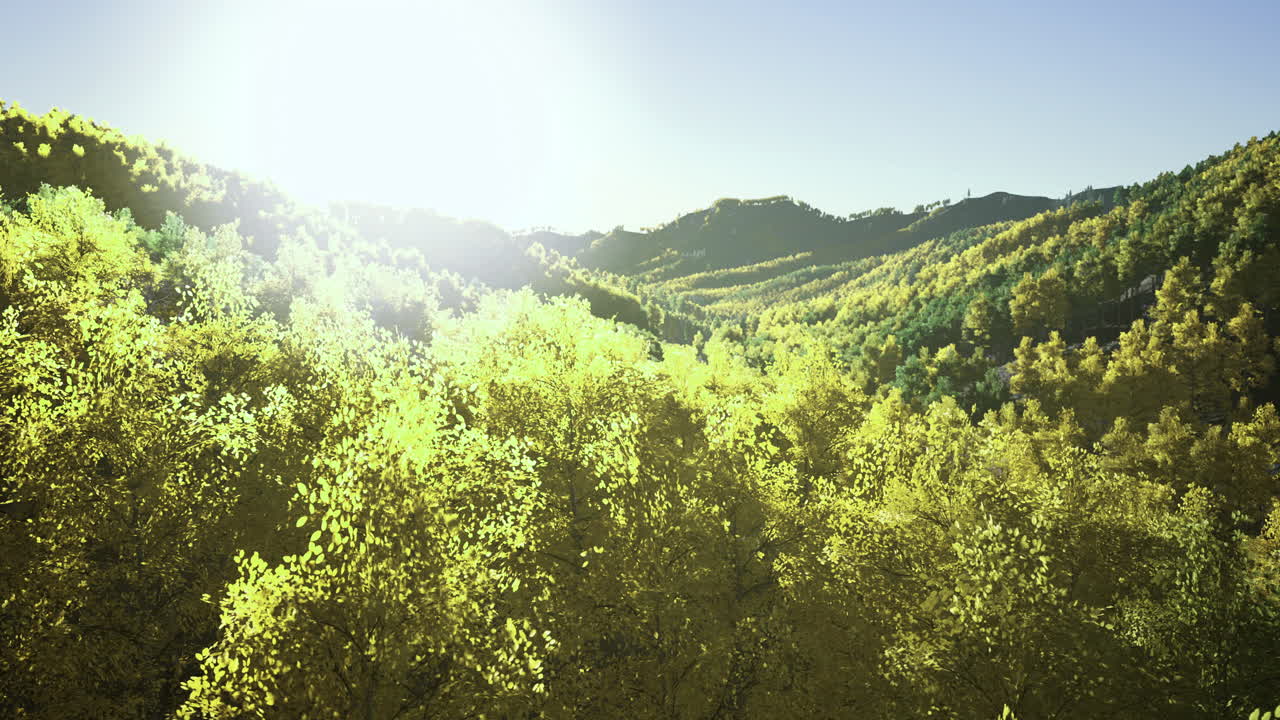 Sunlight glistens over green hills and trees in a serene natural landscape