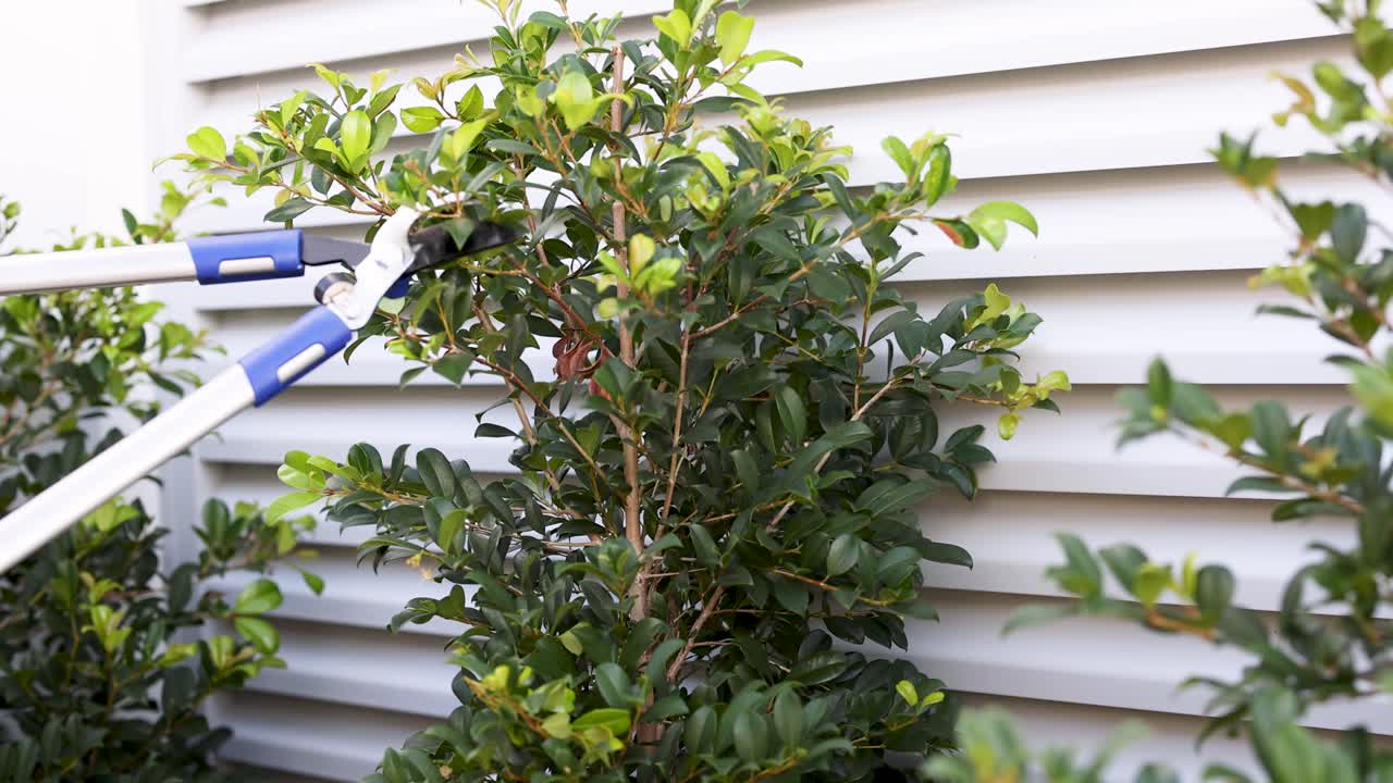 Gardener trims bushes with shears against a house wall, under bright daylight in Gold Coast, Australia