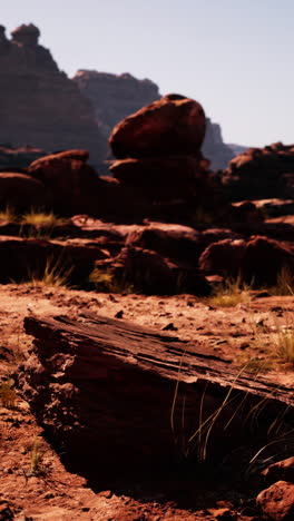 red rock desert landscape