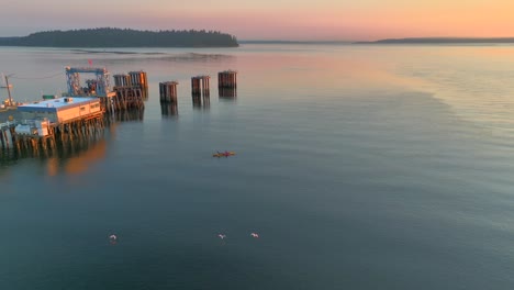 aerial drone view of young couple paddling together in sea kayak at sunrise with three birds flying beneath near a pier with sun glare reflecting off bay water near seattle washington