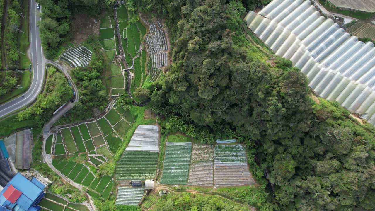 말레이시아의 카메론 하이랜드 지역 내의 브린창 지역의 일반 풍경