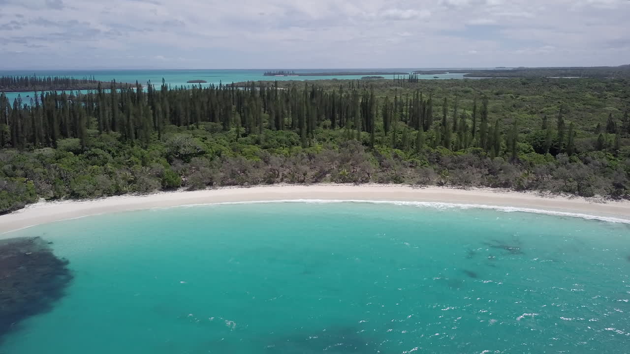 Aerial pullout of white sand beach and cook pine tree forest on Isle of Pines.