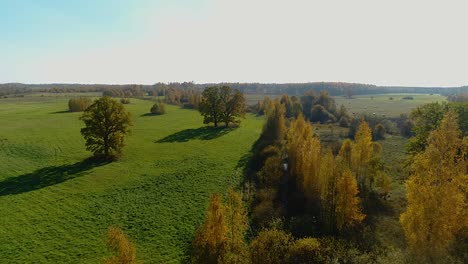 Bunte-Saisonale-Wälder-Im-Herbst-Fallen-Aus-Der-Luft