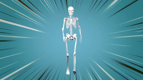 Menschliches-Skelett,-Das-Im-Blauen-Hintergrund-Läuft