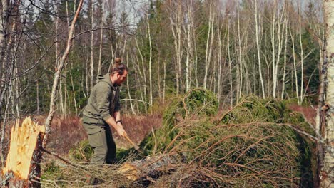 man removing branches from tree trunk in the forest - wide shot