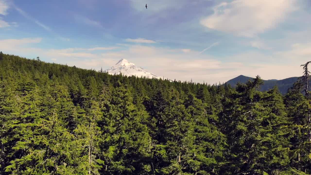 Aerial Drone Shot of Mt. Hood, Oregon