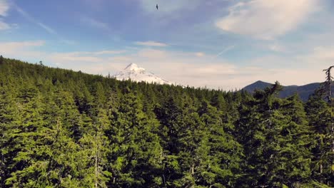 aerial drone shot of mt. hood, oregon