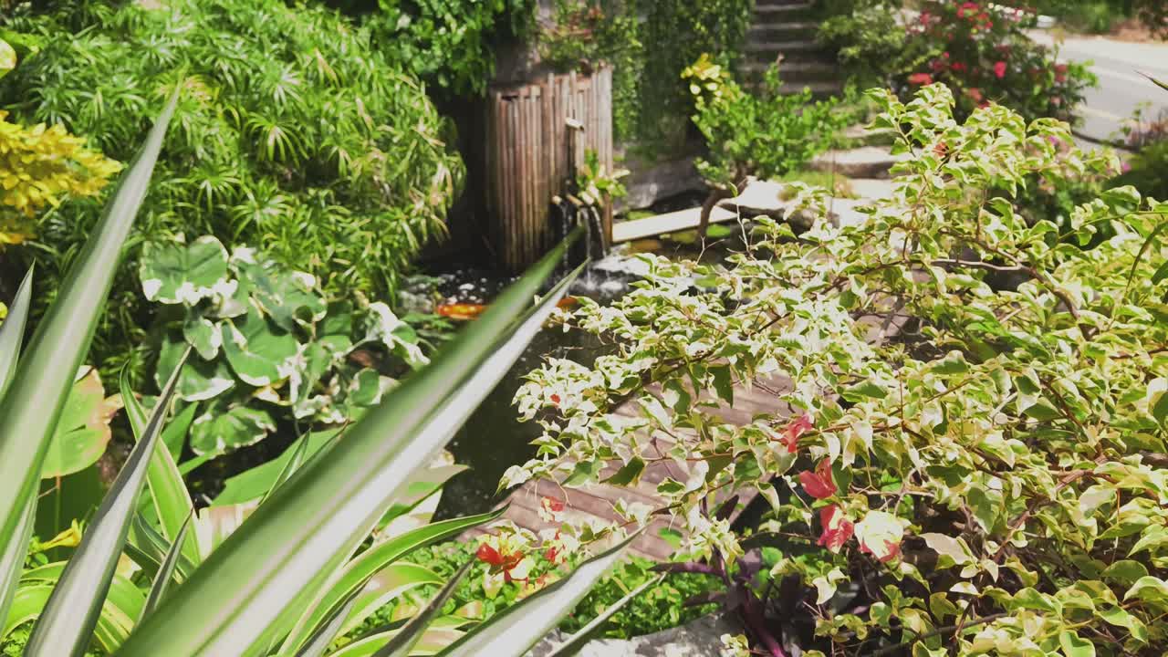 Beautiful Tropical Garden with Pond and Koi Fish