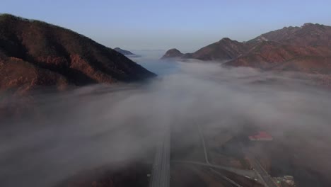 a foggy autumn highway scene