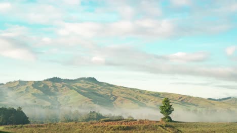 motion timelapse morning light, clouds and mist on meadow and green mountains, papua new guinea eastern highlands