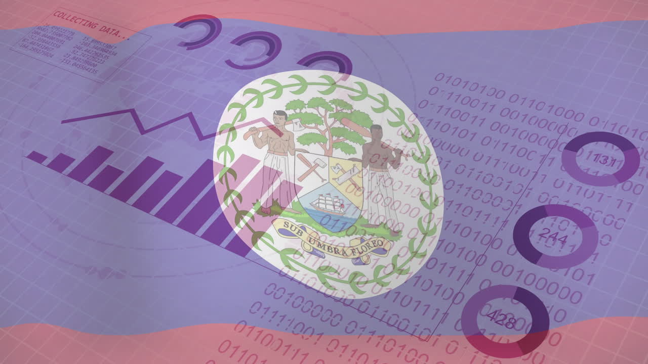 벨리즈의 발과 이진 코드 배경에 대한 데이터 애니메이션을 수집합니다.