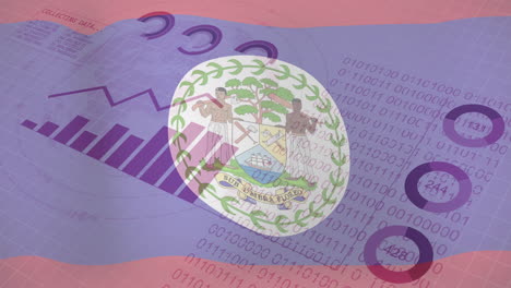 collecting data animation over belize flag and binary code background