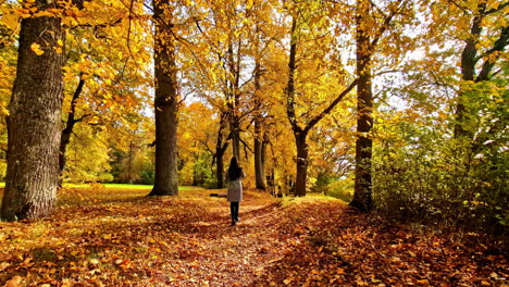 Autumn stroll in Lielvarde, Latvia amidst vibrant fall foliage