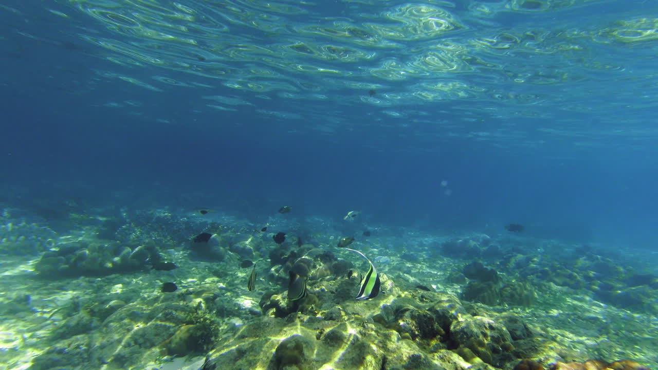 Let's try to keep the ocean as beautiful as it is