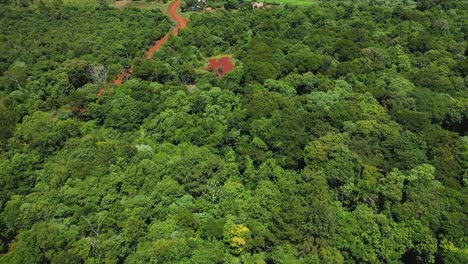 Drone flying upwards revealing a wild path in the middle of a dense jungle in Misiones, Argentina