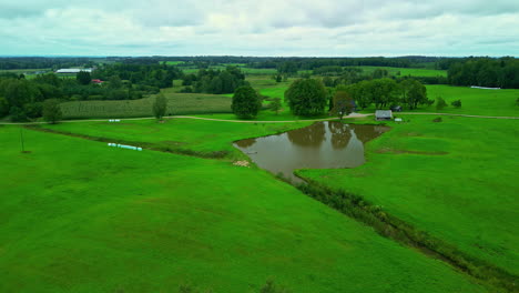 aerial overview above forest to grassy plains and meadow with beautiful countryside cottage