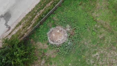 Vista-Aérea-De-Pájaro-De-Un-Nido-De-Pájaros-Junto-A-Una-Carretera