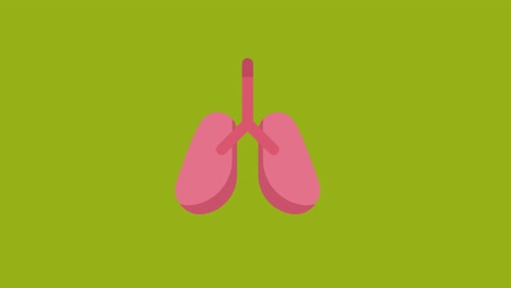 lung icon animation on the green screen background. 4k video. chroma key. useful for explainer video, website, greeting cards, apps, and social media posts