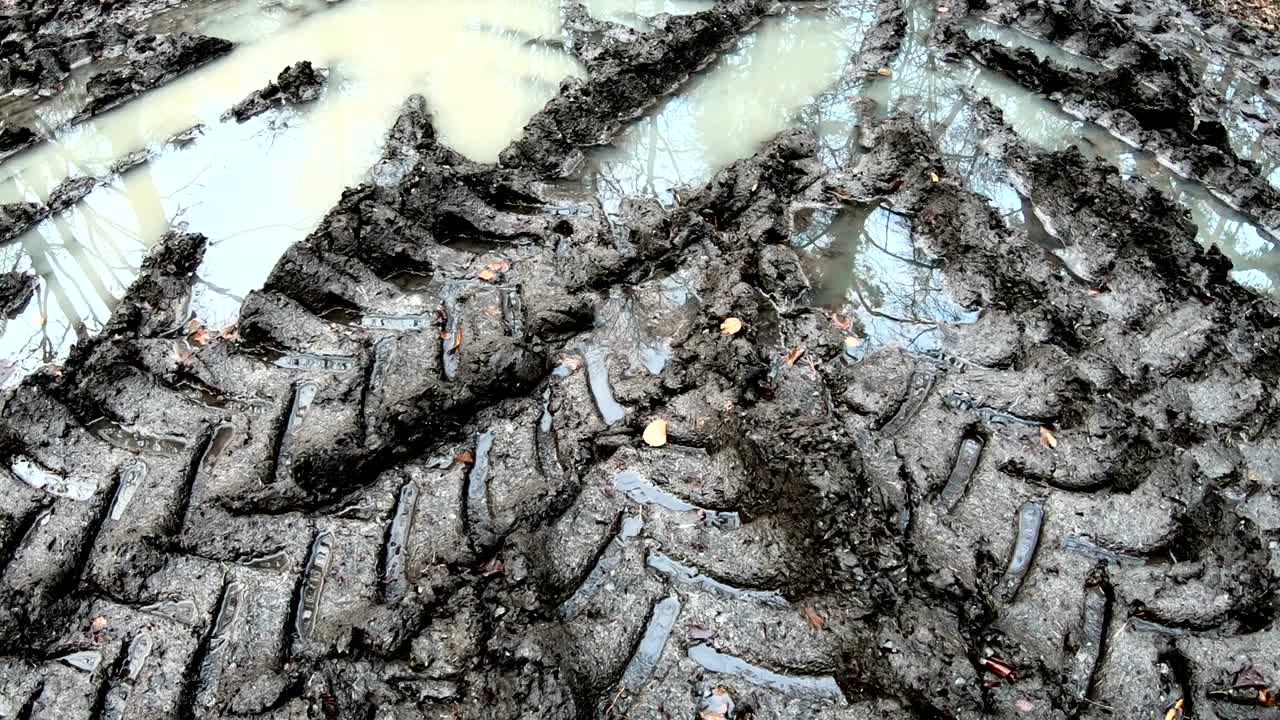 습한 숲의 토양에서 차량 트랙, 토양 압축, 산림