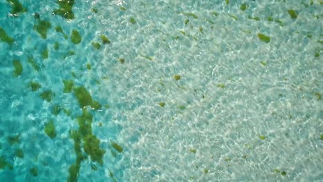 drone video flying low over a clear caribbean sea, in los roques, venezuela