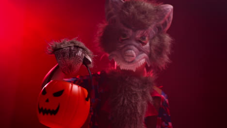 studio shot of child dressed up in werewolf monster costume trick or treating at halloween with red smoke background lighting holding pumpkin shaped jack o'lantern bucket 1