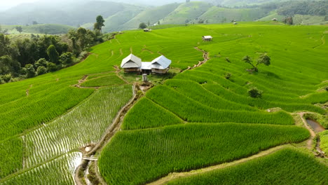 Terraza-De-Arrozales-En-Tierras-Agrícolas-De-Montaña.