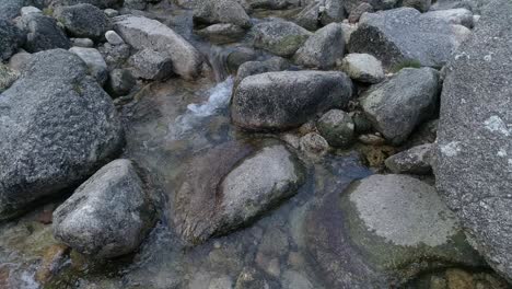 the turbulent flow of a mountain river rocks in the water