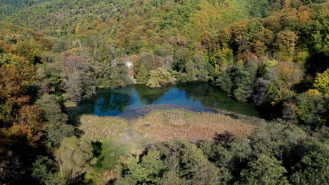 flying over the lake in hungary