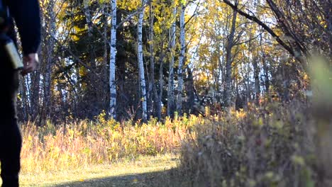 Young-hiker-with-hat-and-backpack-walking-along-a-forest-trail-in-Big-Knife-provincial-park