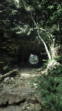 pathway through a lush forest leading to a mysterious cave opening