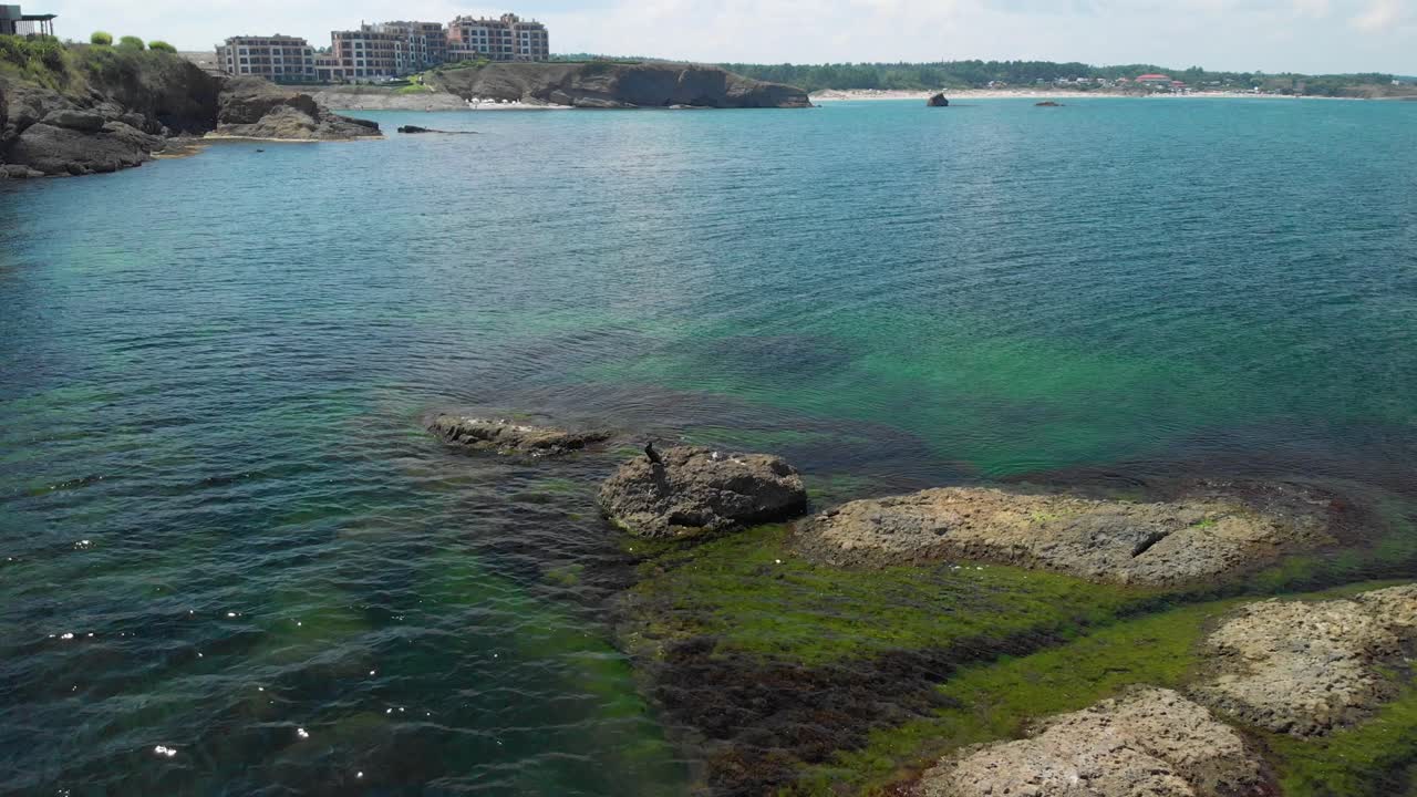 toma aérea larga de un pájaro cormorán posado en una roca en el mar, mar negro, bulgaria