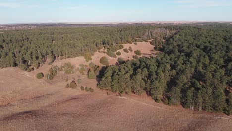 Drone-shot-rising-up-with-focus-on-treeline-along-the-prairie-hills