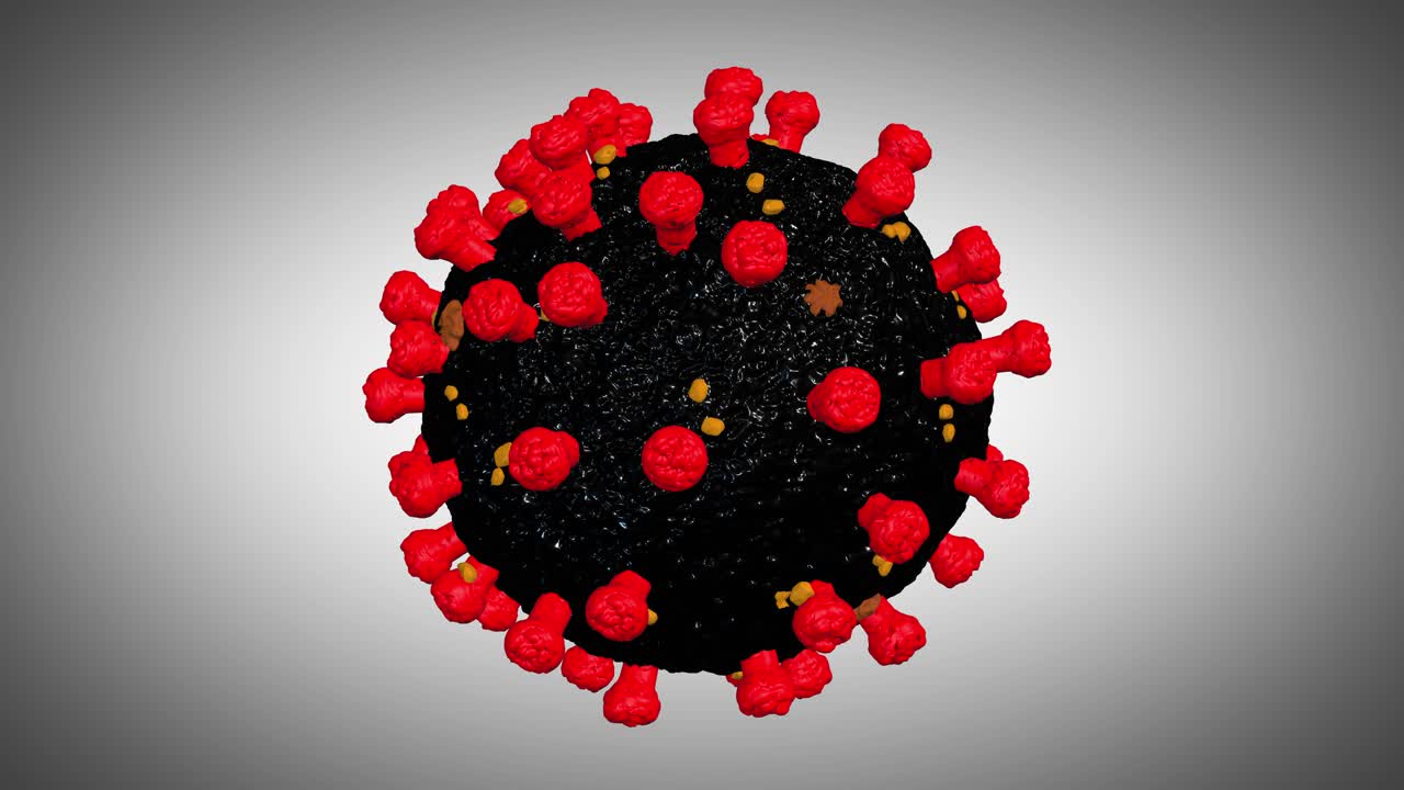 Coronavirus Particle Visualization