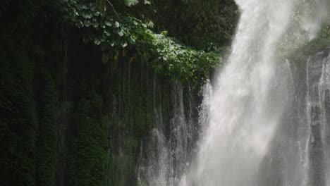 waterfall water falls in the valley tropical forest tiu kelep lombok island, pure idyllic travel and tourism destination