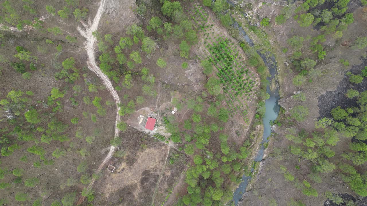 Forested valley with plantation and flowing river, countryside view from above, Honduras