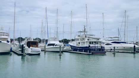 wide shot of a marina with boats - yacht