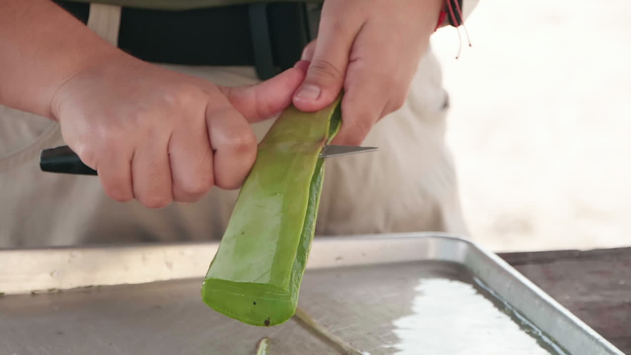 un trabajador de una granja de aloe abre una hoja de aloe vera con un cuchillo de pelar, revelando el gel transparente en el interior
