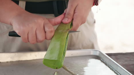 Ein-Arbeiter-Auf-Einer-Aloe-Farm-Schneidet-Ein-Aloe-Vera-Blatt-Mit-Einem-Schälmesser-Auf-Und-Gibt-Das-Klare-Gel-Frei